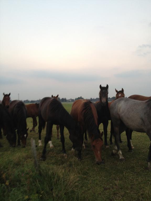 Farm Stay Hof Auf Der Wurp Harrierwurp Экстерьер фото