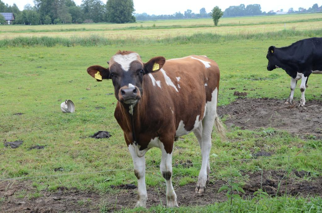 Farm Stay Hof Auf Der Wurp Harrierwurp Экстерьер фото